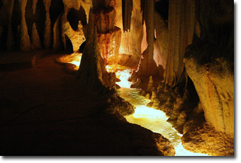 Glow Worm Cave in Gold Coast Concept Voyages